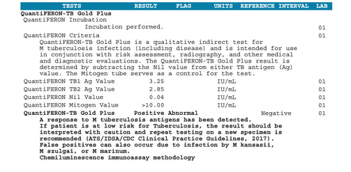 TB - Tuberculosis QuantiFERON TB-Gold Plus ABNORMAL Sample Report