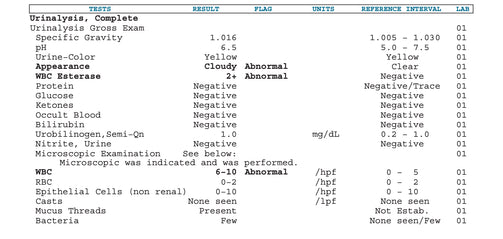 Urinalysis - Urine Analysis, Comprehensive, with Microscopy - ABNORMAL Report