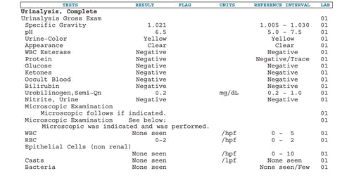Urinalysis - Urine Analysis, Comprehensive, with Microscopy - NORMAL Report